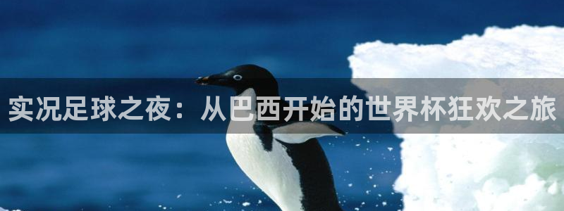 2026世界杯：实况足球之夜：从巴西开始的世界杯狂欢之旅