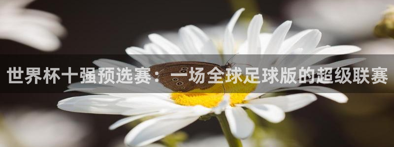 西超杯直播：世界杯十强预选赛：一场全球足球版的超级联赛