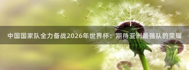 世界杯今年：中国国家队全力备战2026年世界杯：期待亚洲最强队的荣耀
