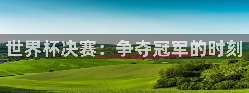 2026世界杯官网：世界杯决赛：争夺冠军的时刻