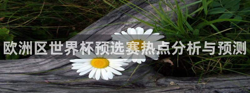 世界杯预选赛亚洲区积分榜：欧洲区世界杯预选赛热点分析与预测