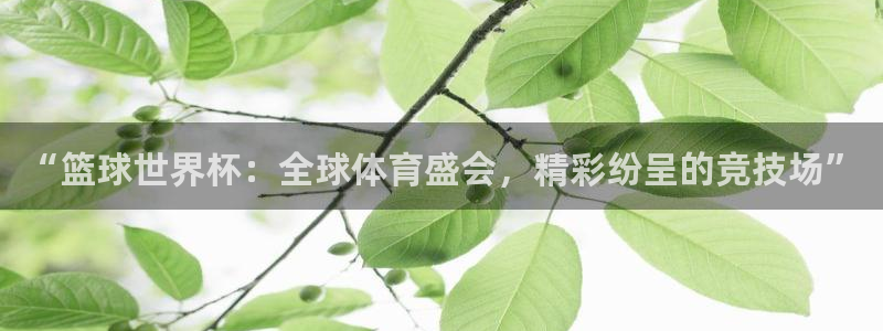2026世界杯小组赛赛程时间表：“篮球世界杯：全球体育盛会，精彩纷呈的竞技场”