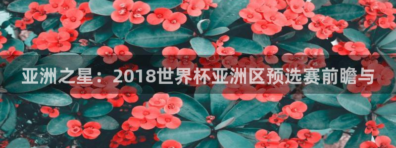 世界杯系列赛：亚洲之星：2018世界杯亚洲区预选赛前瞻与